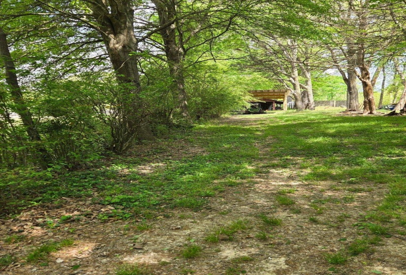 Behind hedge so cannot see from house-stores lawnmower and equipment