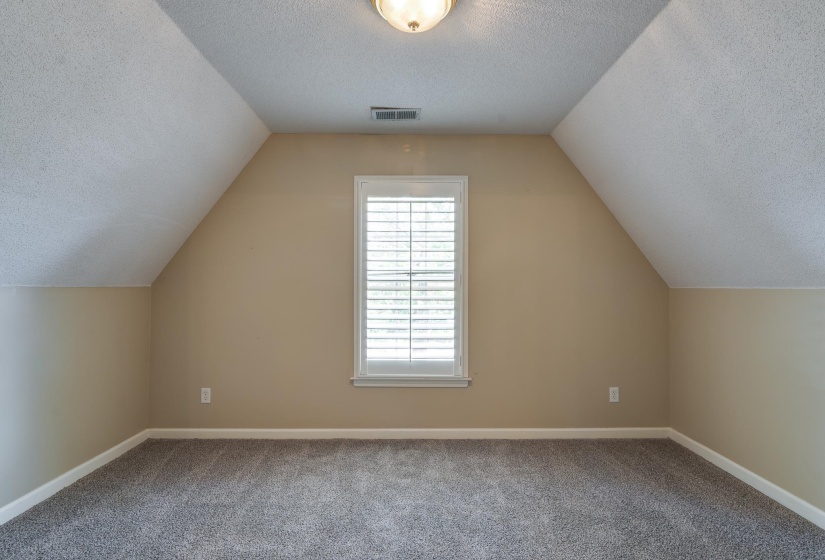Additional living space with a textured ceiling, carpet floors, and vaulted ceiling