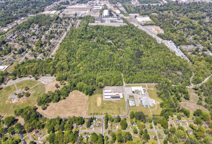 Birds eye view of property featuring a view of trees