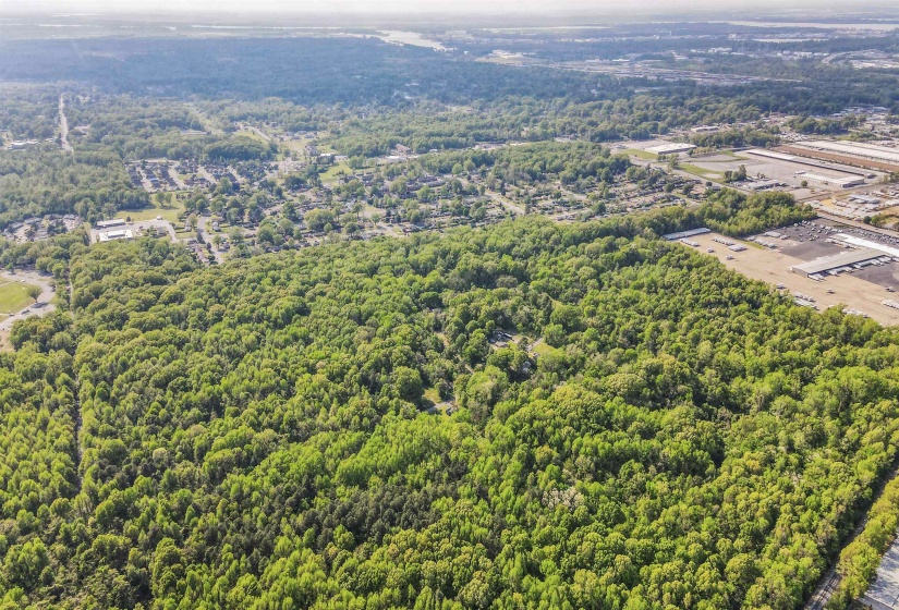 Aerial view with a forest view