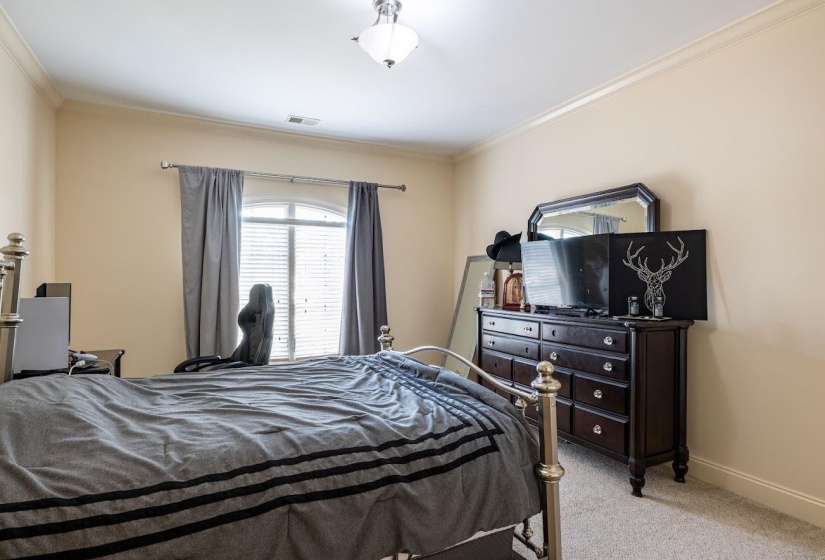 Carpeted bedroom featuring baseboards, visible vents, and ornamental molding