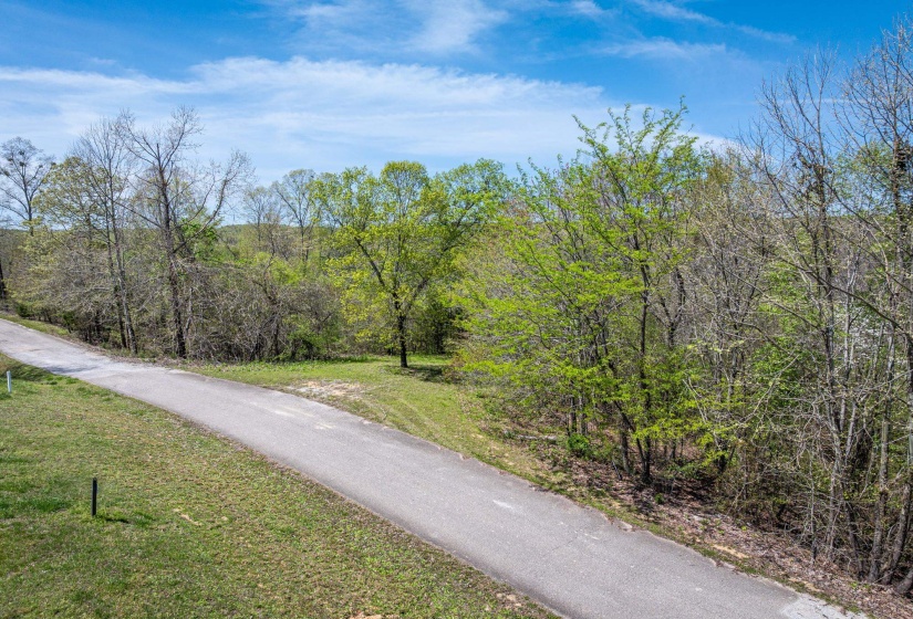 0 RIVER BREEZE DR, Sugar Tree, Tennessee 38380, ,Land,For Sale,RIVER BREEZE,10194884