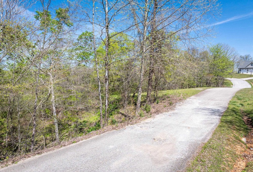 0 RIVER BREEZE DR, Sugar Tree, Tennessee 38380, ,Land,For Sale,RIVER BREEZE,10194884
