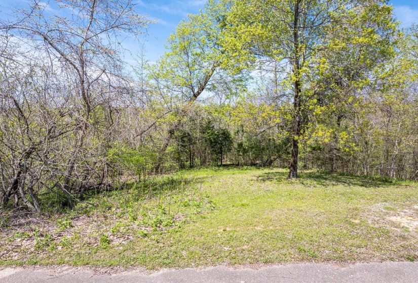 0 RIVER BREEZE DR, Sugar Tree, Tennessee 38380, ,Land,For Sale,RIVER BREEZE,10194884