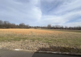 0 COLLINS ST, Ripley, Tennessee 38063, ,Land,For Sale,COLLINS,10194910