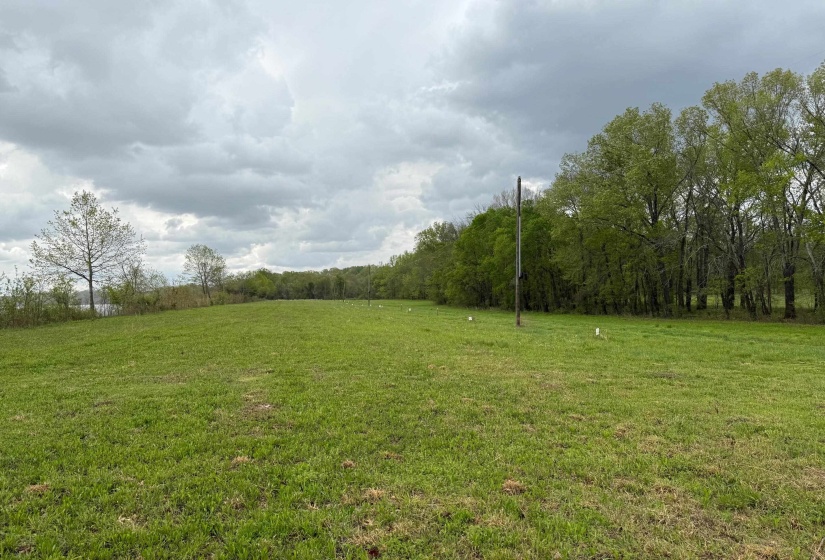 LOTS 41-52 CHAPARRAL(OFF TOM BAKER RD) LN, Clifton, Tennessee 38425, ,Land,For Sale,CHAPARRAL(OFF TOM BAKER RD),10194953