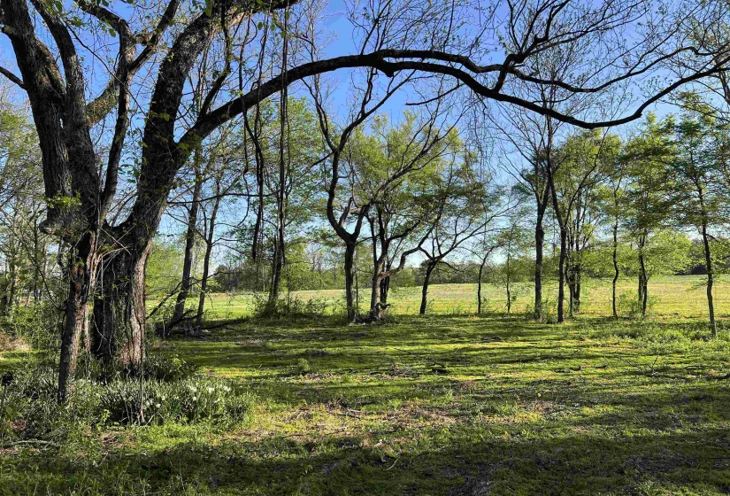 View of landscape
