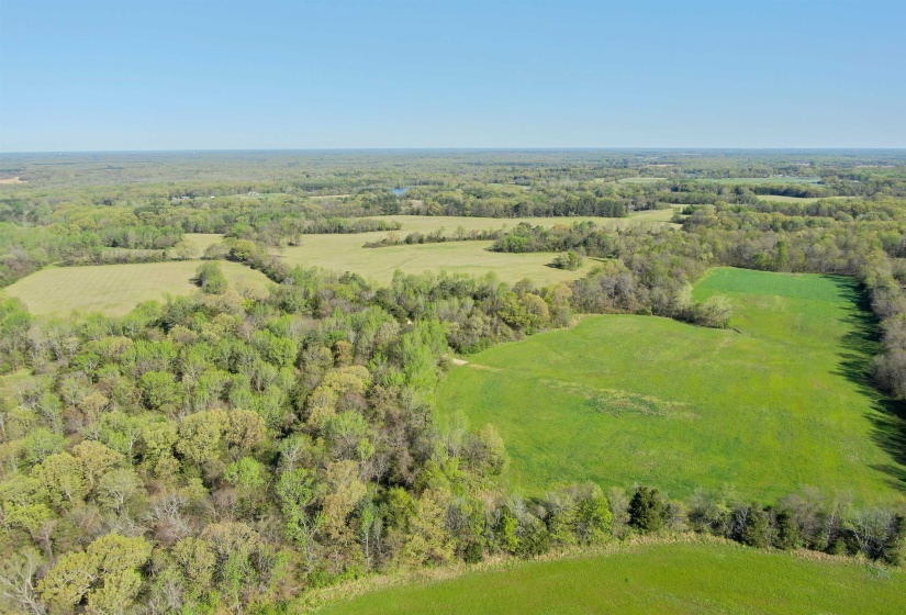 Bird's eye view with a rural view