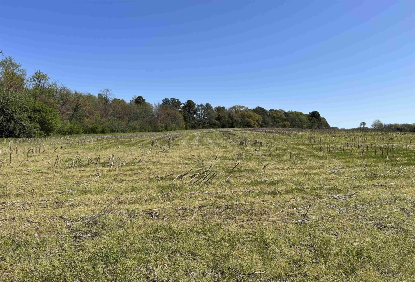 View of landscape featuring a rural view