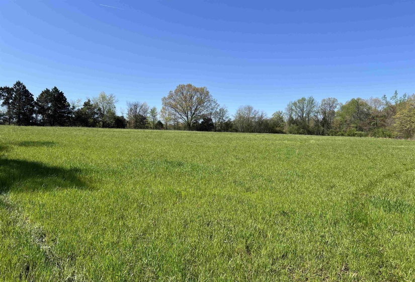 View of local wilderness featuring a rural view
