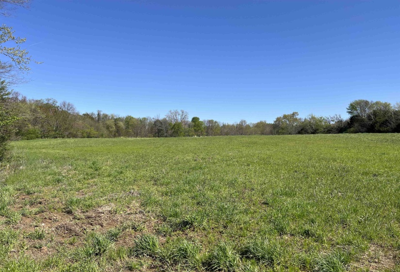 View of nature featuring a rural view and a wooded view