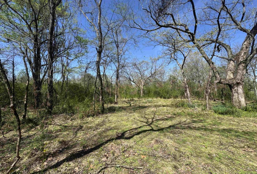 View of nature featuring a forest view