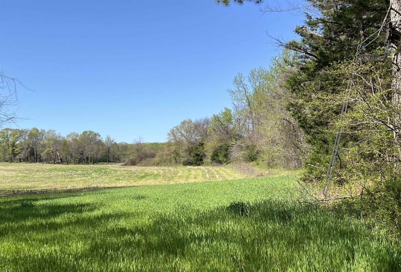 View of landscape featuring a forest view
