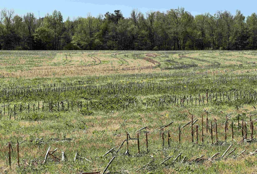 View of landscape featuring a forest view and a rural view