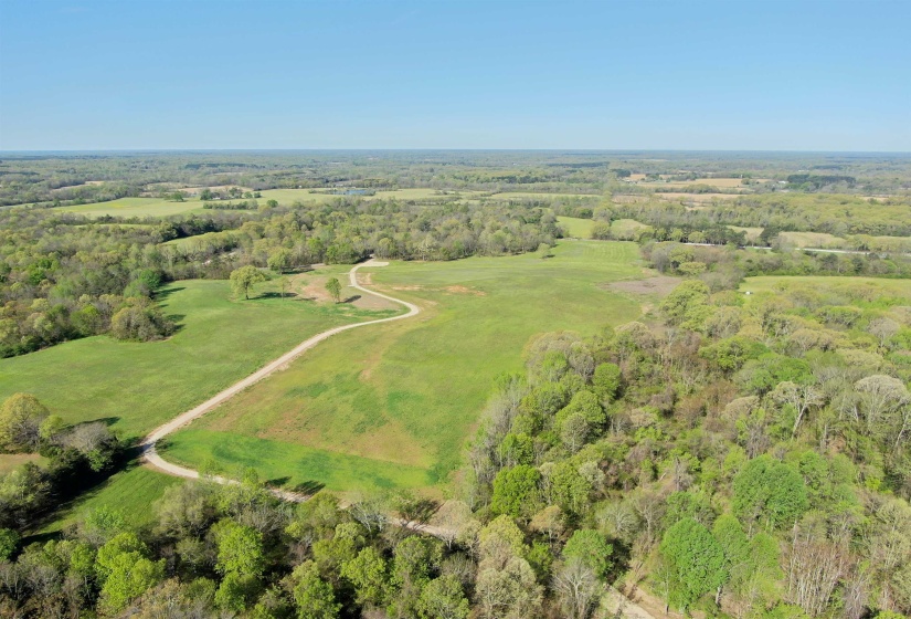 Drone / aerial view featuring a view of trees