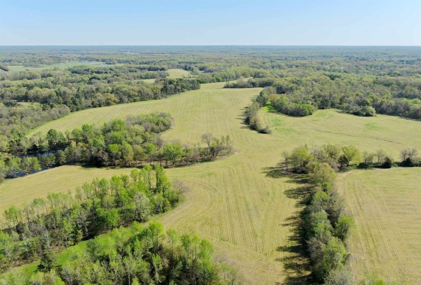 Birds eye view of property with a rural view and a view of trees