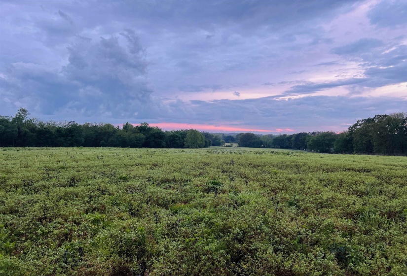 Nature at dusk with a rural view