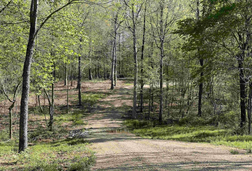 View of street featuring a view of trees