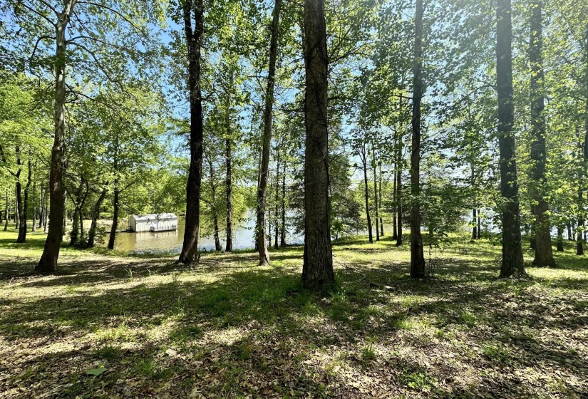 View of nature