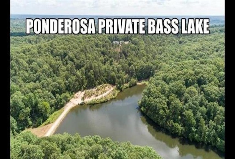 LOTS 17 & 21 RIDGEWAY DR, Sugar Tree, Tennessee 38380, ,Land,For Sale,RIDGEWAY,10195008