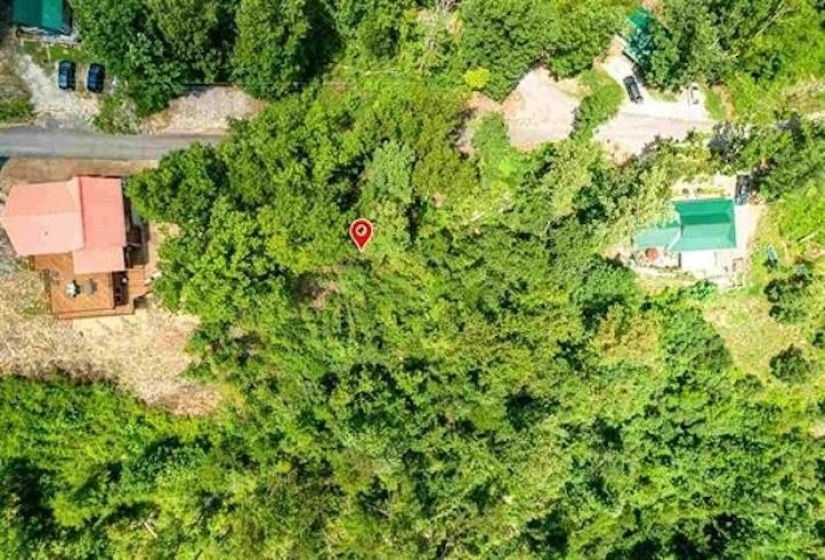 LOTS 17 & 21 RIDGEWAY DR, Sugar Tree, Tennessee 38380, ,Land,For Sale,RIDGEWAY,10195008