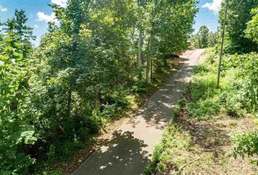 LOTS 17 & 21 RIDGEWAY DR, Sugar Tree, Tennessee 38380, ,Land,For Sale,RIDGEWAY,10195008