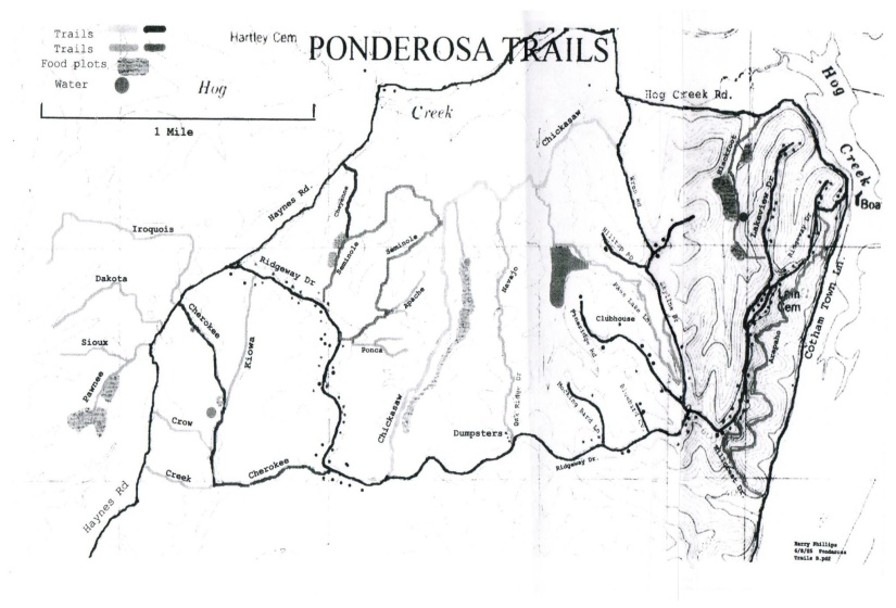 LOTS 17 & 21 RIDGEWAY DR, Sugar Tree, Tennessee 38380, ,Land,For Sale,RIDGEWAY,10195008