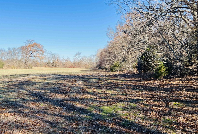 0 SELLERS DR, Oakland, Tennessee 38060, ,Land,For Sale,SELLERS,10195078