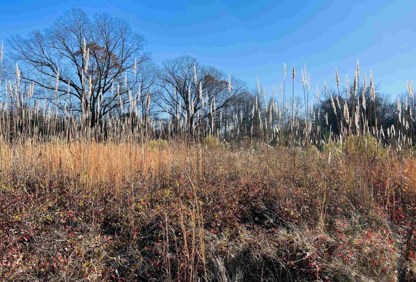 0 SELLERS DR, Oakland, Tennessee 38060, ,Land,For Sale,SELLERS,10195078