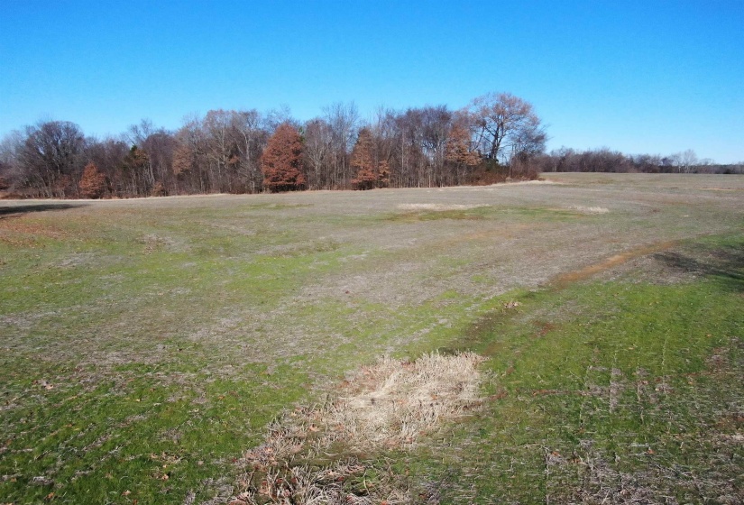 0 SELLERS DR, Oakland, Tennessee 38060, ,Land,For Sale,SELLERS,10195078