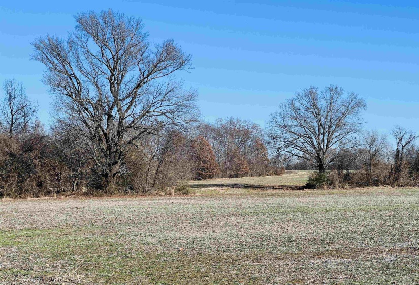 0 SELLERS DR, Oakland, Tennessee 38060, ,Land,For Sale,SELLERS,10195078