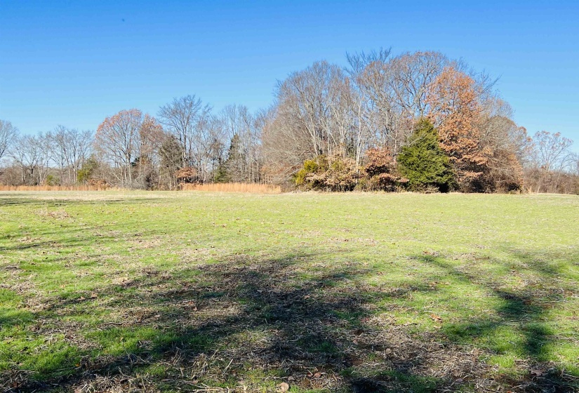 0 SELLERS DR, Oakland, Tennessee 38060, ,Land,For Sale,SELLERS,10195078