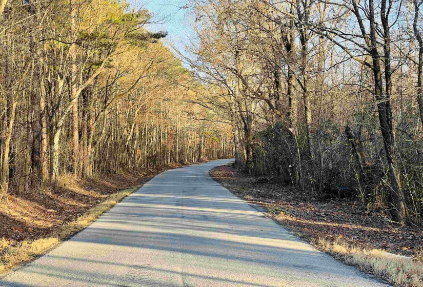 0 SELLERS DR, Oakland, Tennessee 38060, ,Land,For Sale,SELLERS,10195078