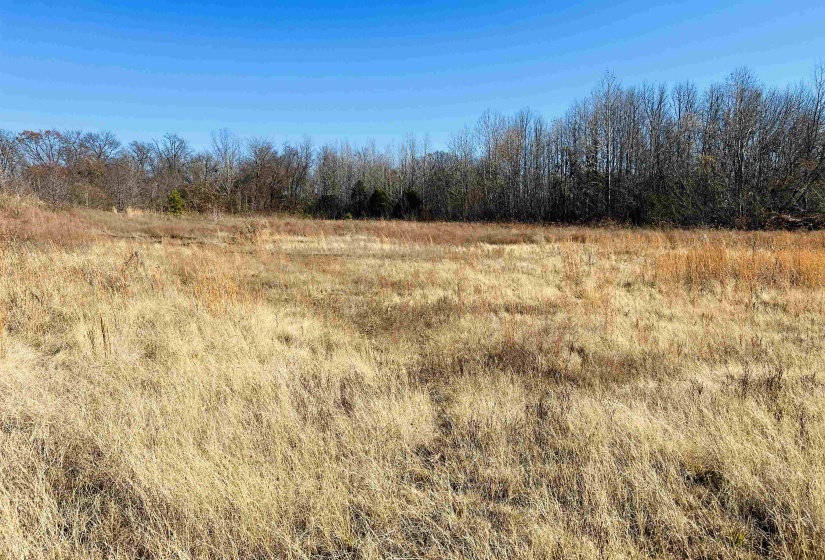 0 SELLERS DR, Oakland, Tennessee 38060, ,Land,For Sale,SELLERS,10195078