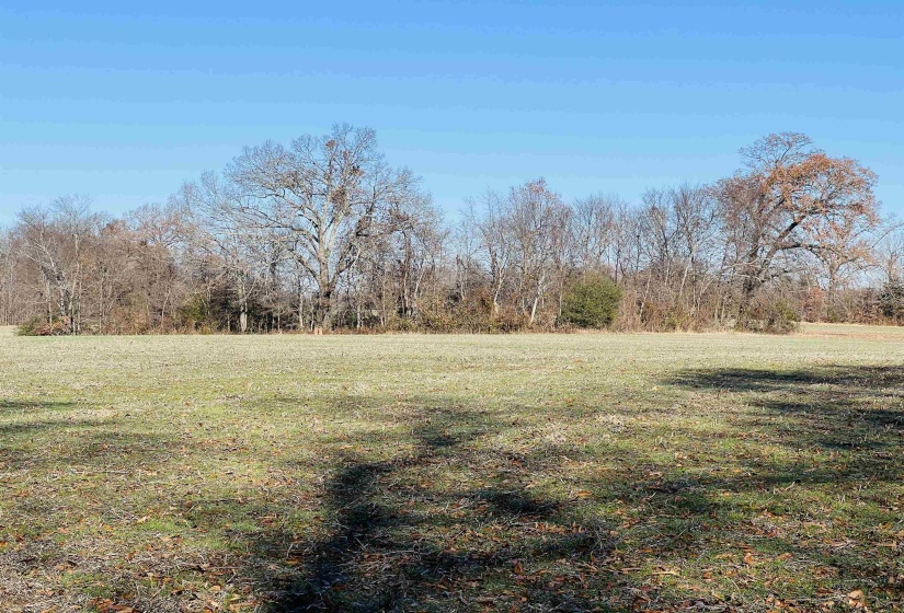 0 SELLERS DR, Oakland, Tennessee 38060, ,Land,For Sale,SELLERS,10195078