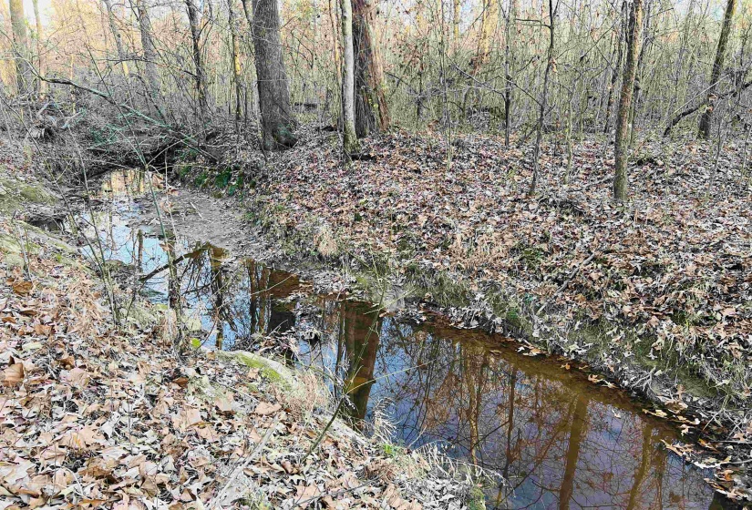 0 SELLERS DR, Oakland, Tennessee 38060, ,Land,For Sale,SELLERS,10195078