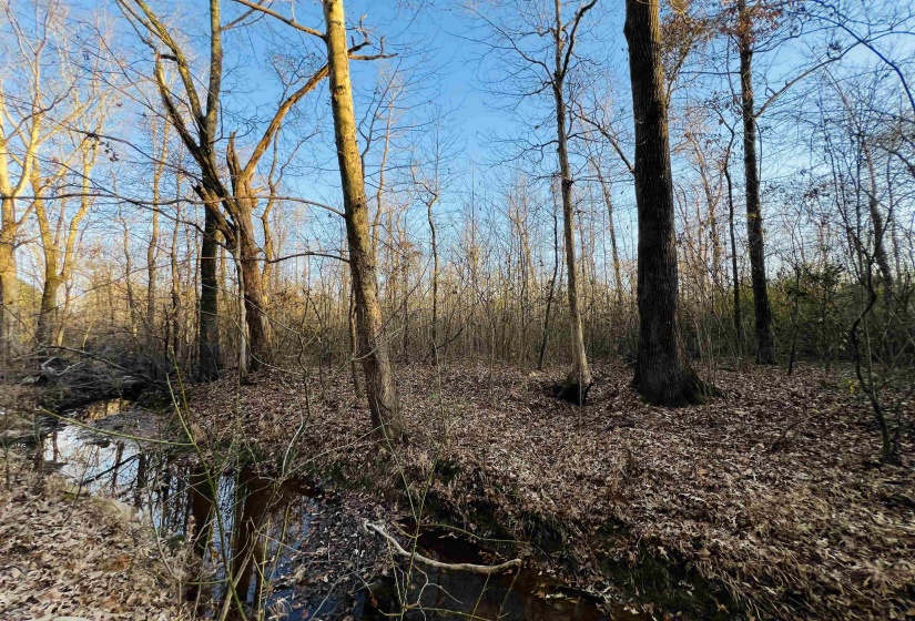 0 SELLERS DR, Oakland, Tennessee 38060, ,Land,For Sale,SELLERS,10195078