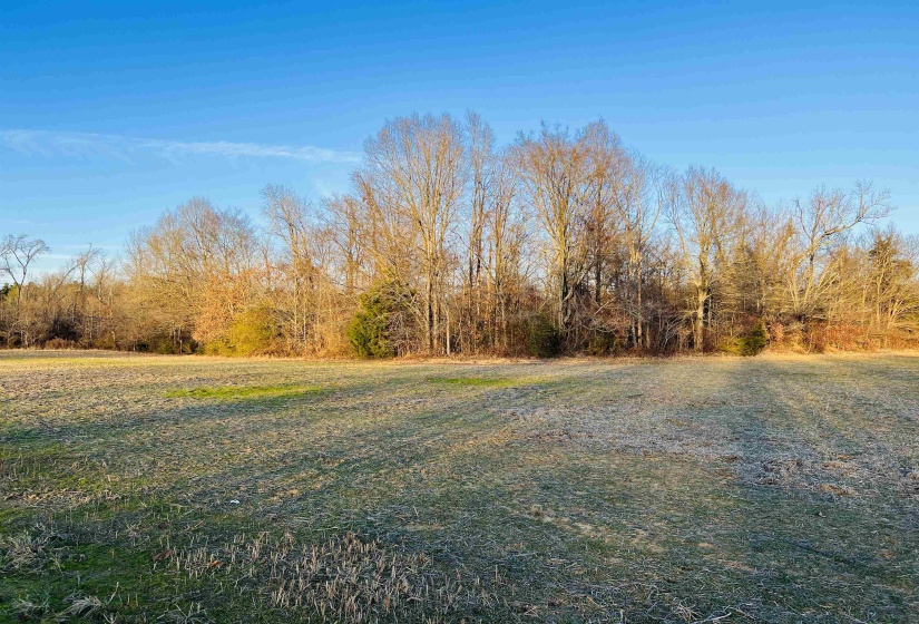 0 SELLERS DR, Oakland, Tennessee 38060, ,Land,For Sale,SELLERS,10195078