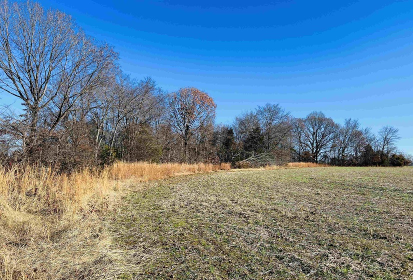 0 SELLERS DR, Oakland, Tennessee 38060, ,Land,For Sale,SELLERS,10195078