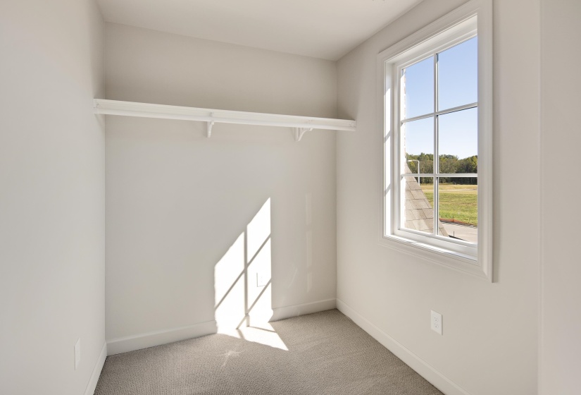 1343 KATE DR, Collierville, Tennessee 38017, 5 Bedrooms Bedrooms, 10 Rooms Rooms,4.1 BathroomsBathrooms,Residential,For Sale,KATE,10195039