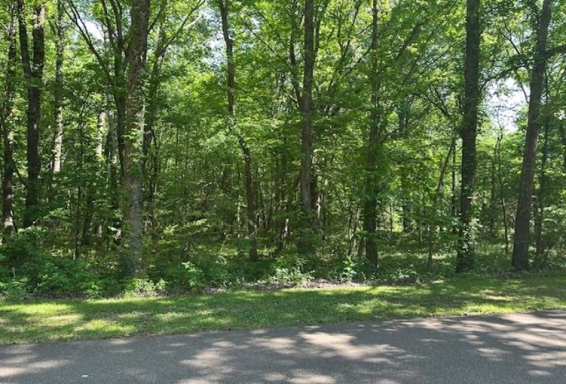 View of landscape with a wooded view