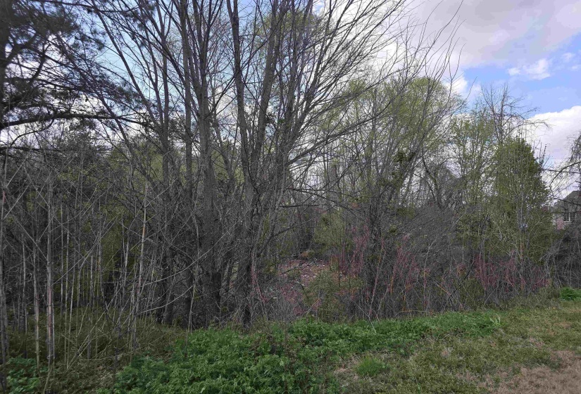 3758 MOUNTAIN TERRACE ST, Memphis, Tennessee 38127, ,Land,For Sale,MOUNTAIN TERRACE,10171263