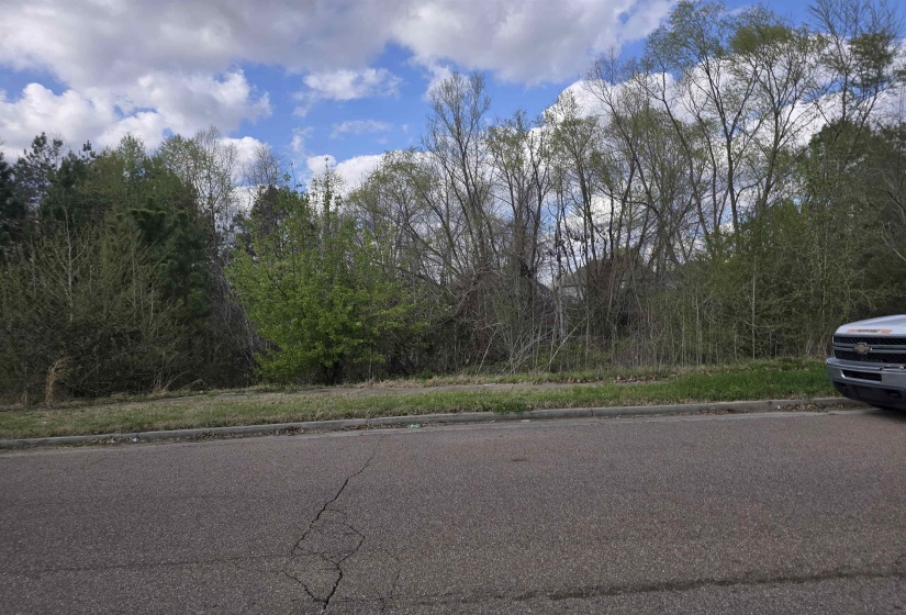 3758 MOUNTAIN TERRACE ST, Memphis, Tennessee 38127, ,Land,For Sale,MOUNTAIN TERRACE,10171263