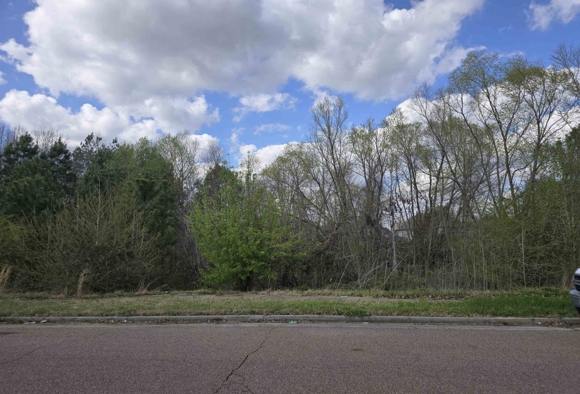 3758 MOUNTAIN TERRACE ST, Memphis, Tennessee 38127, ,Land,For Sale,MOUNTAIN TERRACE,10171263