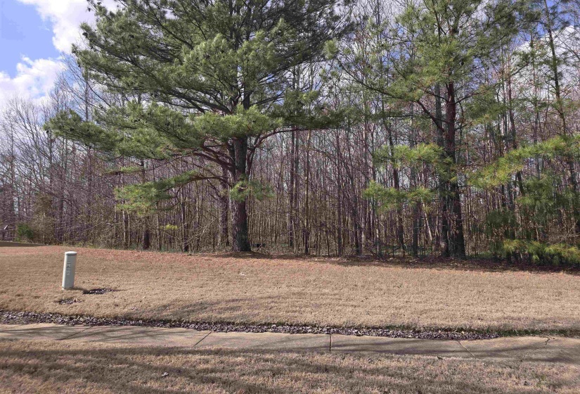 3758 MOUNTAIN TERRACE ST, Memphis, Tennessee 38127, ,Land,For Sale,MOUNTAIN TERRACE,10171263