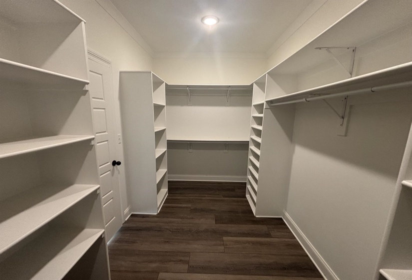 Walk in closet with dark wood-type flooring