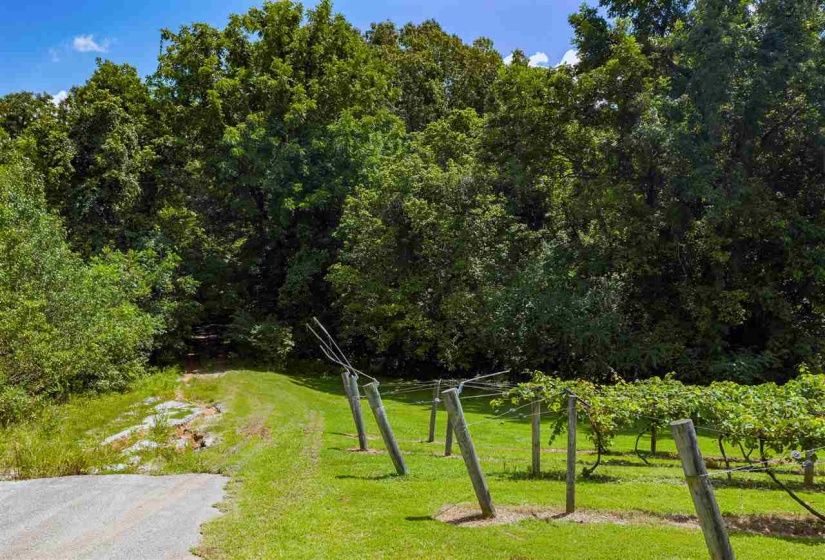 0 RED GUM LN & OLD MEDINA CROSSING LN, Jackson, Tennessee 38305, ,Land,For Sale,RED GUM LN & OLD MEDINA CROSSING,10195533