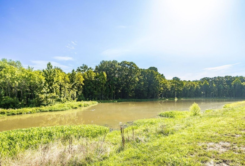 356 RIVER BRANCH DR, Collierville, Tennessee 38017, 4 Bedrooms Bedrooms, 9 Rooms Rooms,4.1 BathroomsBathrooms,Residential,For Sale,RIVER BRANCH,10195520