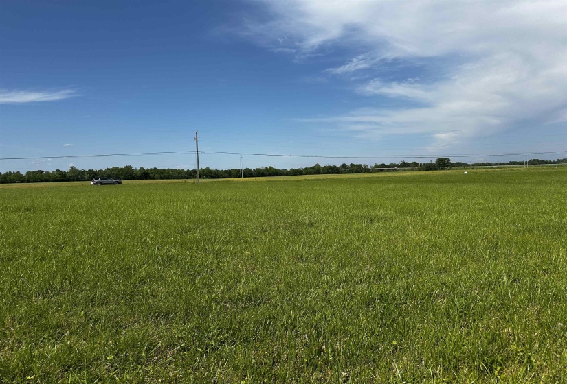 View of local wilderness with a rural view View of local wilderness with a rural view