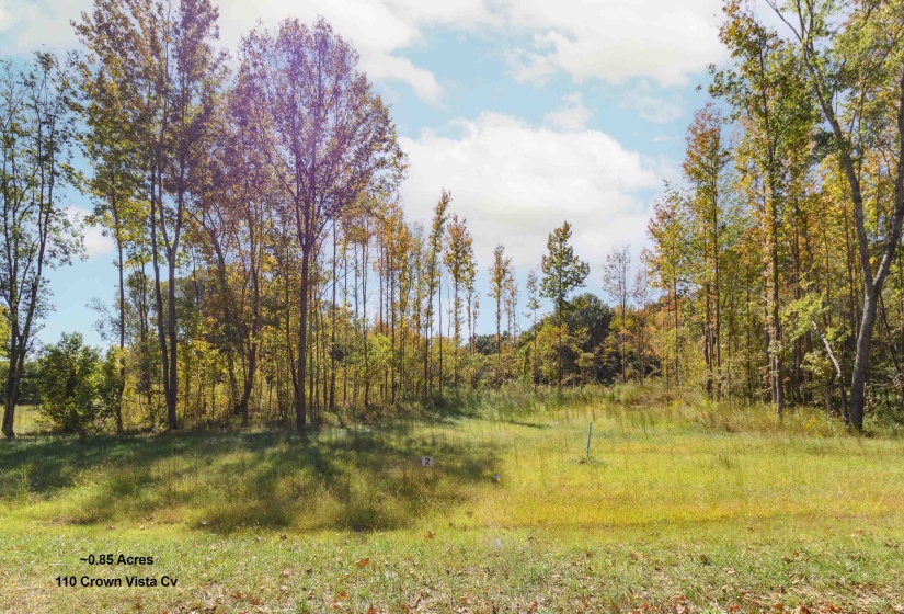 110 CROWN VISTA CV, Piperton, Tennessee 38017, ,Land,For Sale,CROWN VISTA,10134696